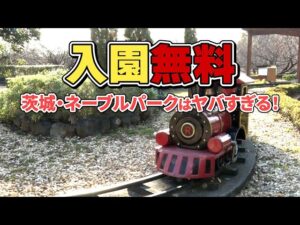 家族の笑顔があふれる一日へ。茨城・ネーブルパークを徹底体験！【ホリプロスピード公式YouTube最新動画】