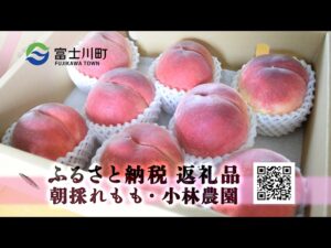 【山梨県富士川町】朝採れ桃をその日のうちに発送｜ふるさと納税返礼品を紹介